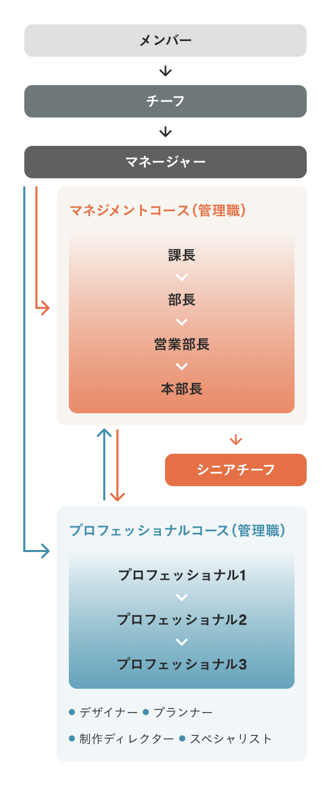 複線型人事制度の体系図